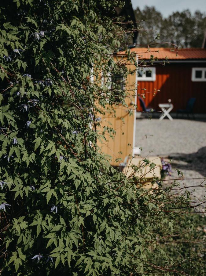 Villa En Lantlig Idyll Med Skogen Precis Utanfoer Doerren! à Ullared Extérieur photo