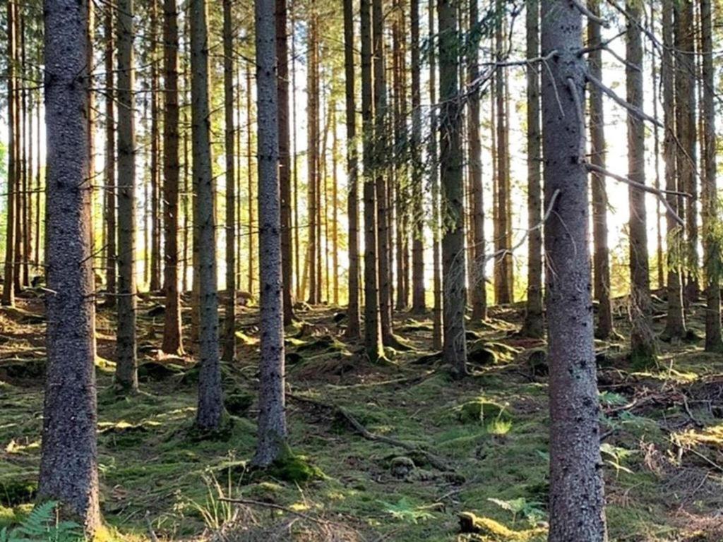 Villa En Lantlig Idyll Med Skogen Precis Utanfoer Doerren! à Ullared Extérieur photo
